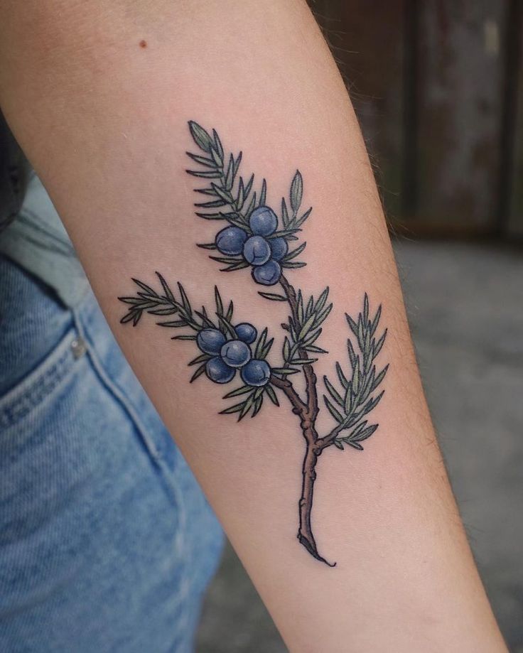 juniper branch tattoo