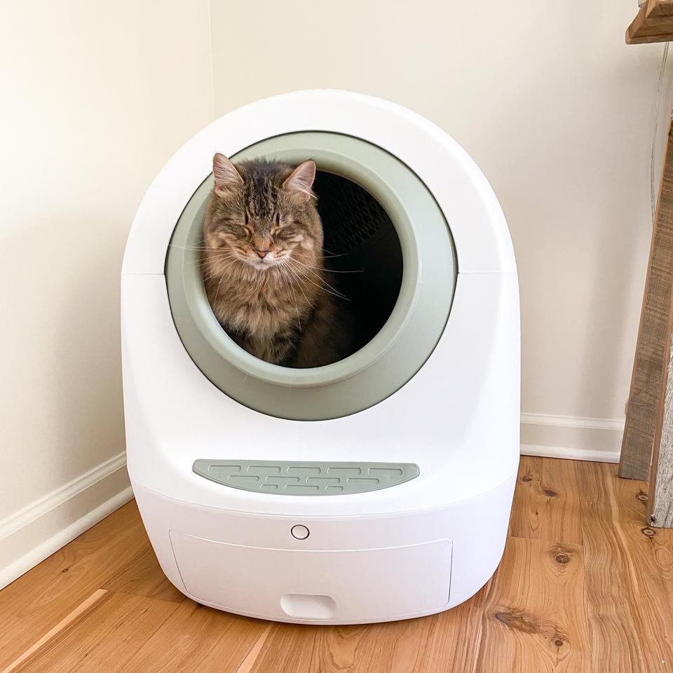 best automatic cleaning litter box