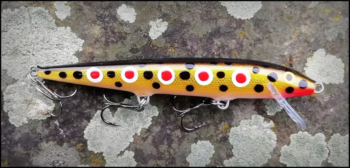 rapala spotted dog