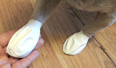 balloon dog booties