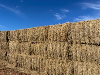 hay for sale near me