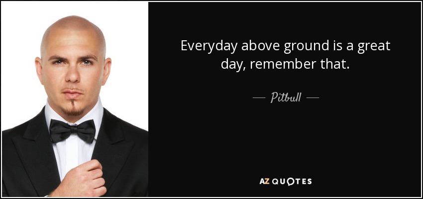 quotes from pitbull