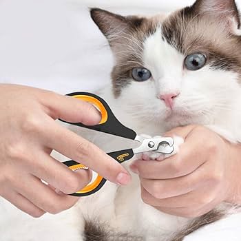 can you use human nail clippers on cats