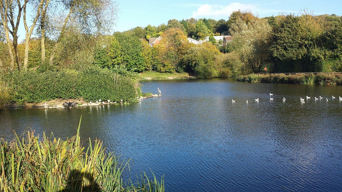 capstone farm country park photos