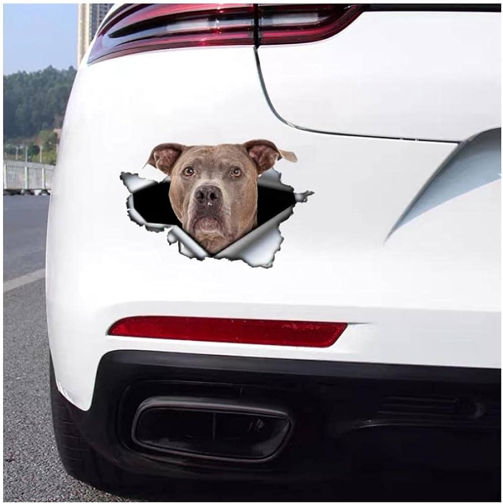 car bumper stickers amazon