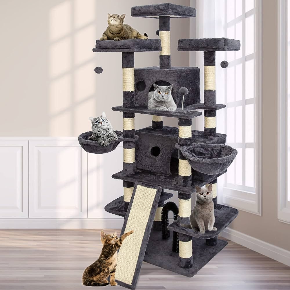 cat condo for large cats