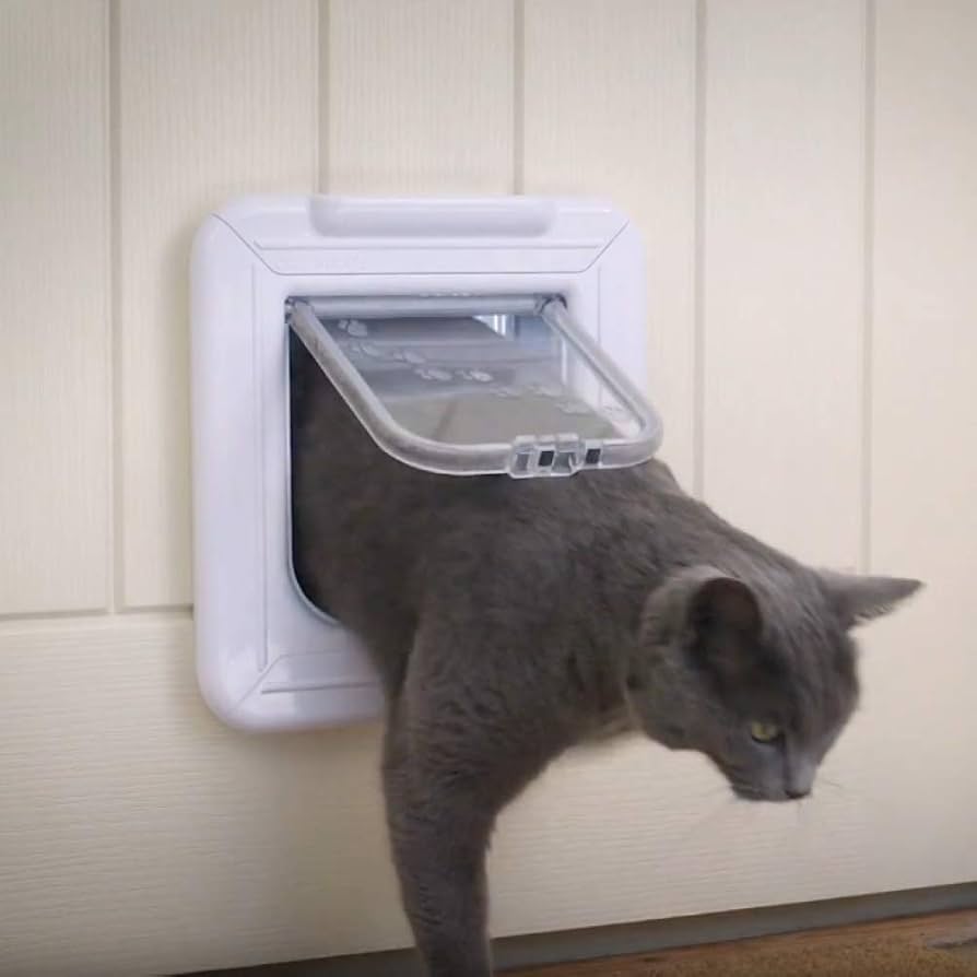 cat flap with timer