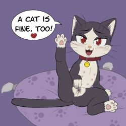 cat rule 34