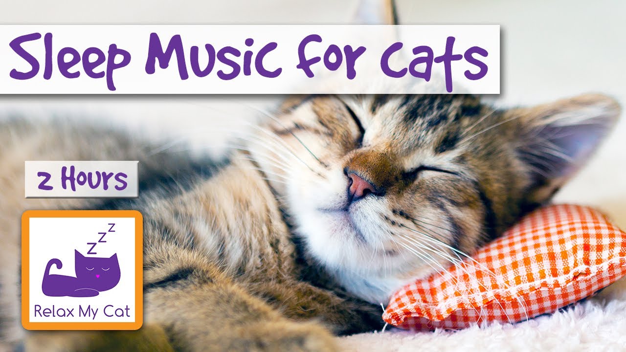 cat sleep music