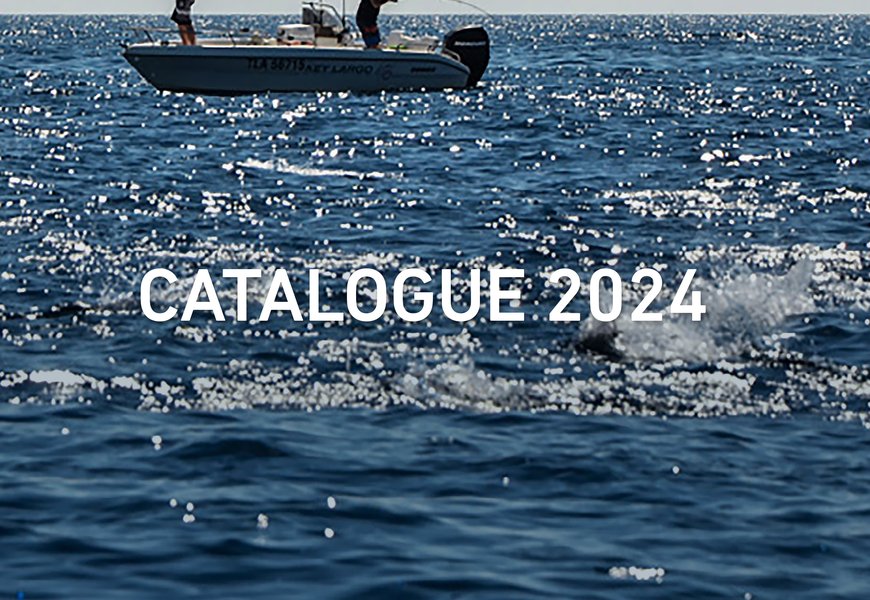 catalogo daiwa 2024