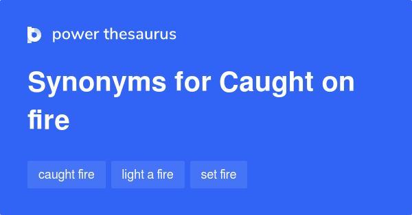 caught synonym