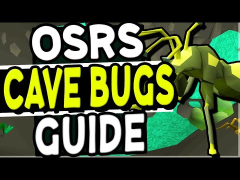 cave bug osrs