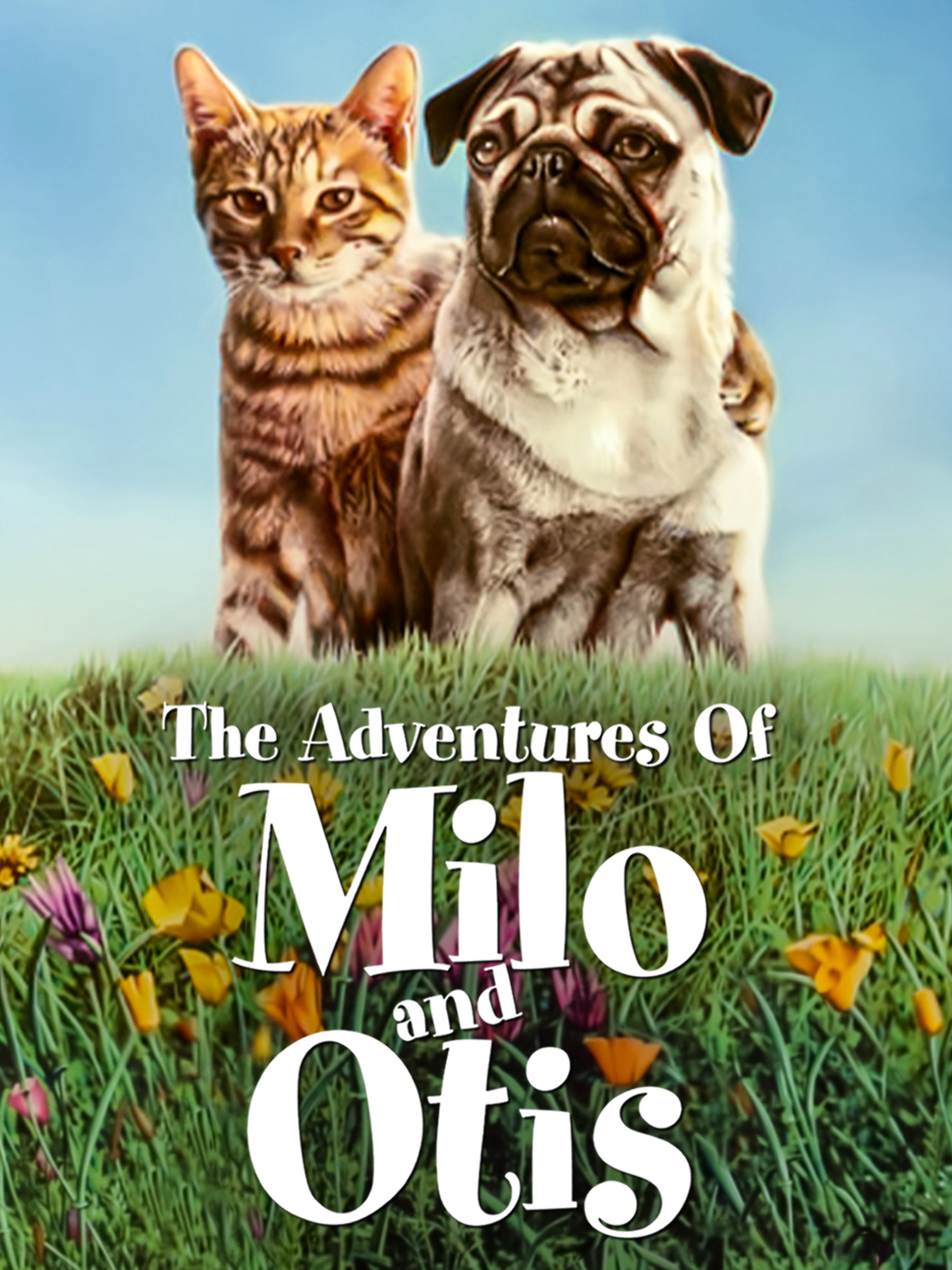 milo and otis