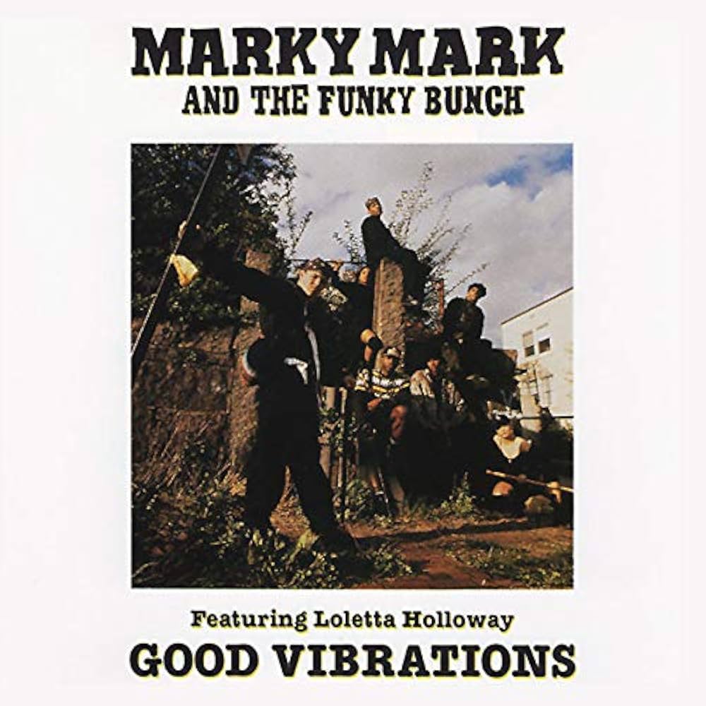 marky mark and the funky bunch good vibration