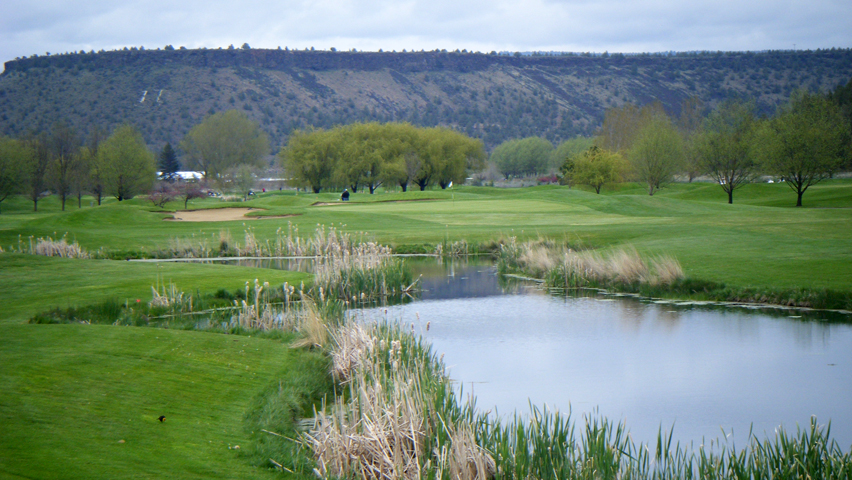 meadow lakes golf course rochester mn