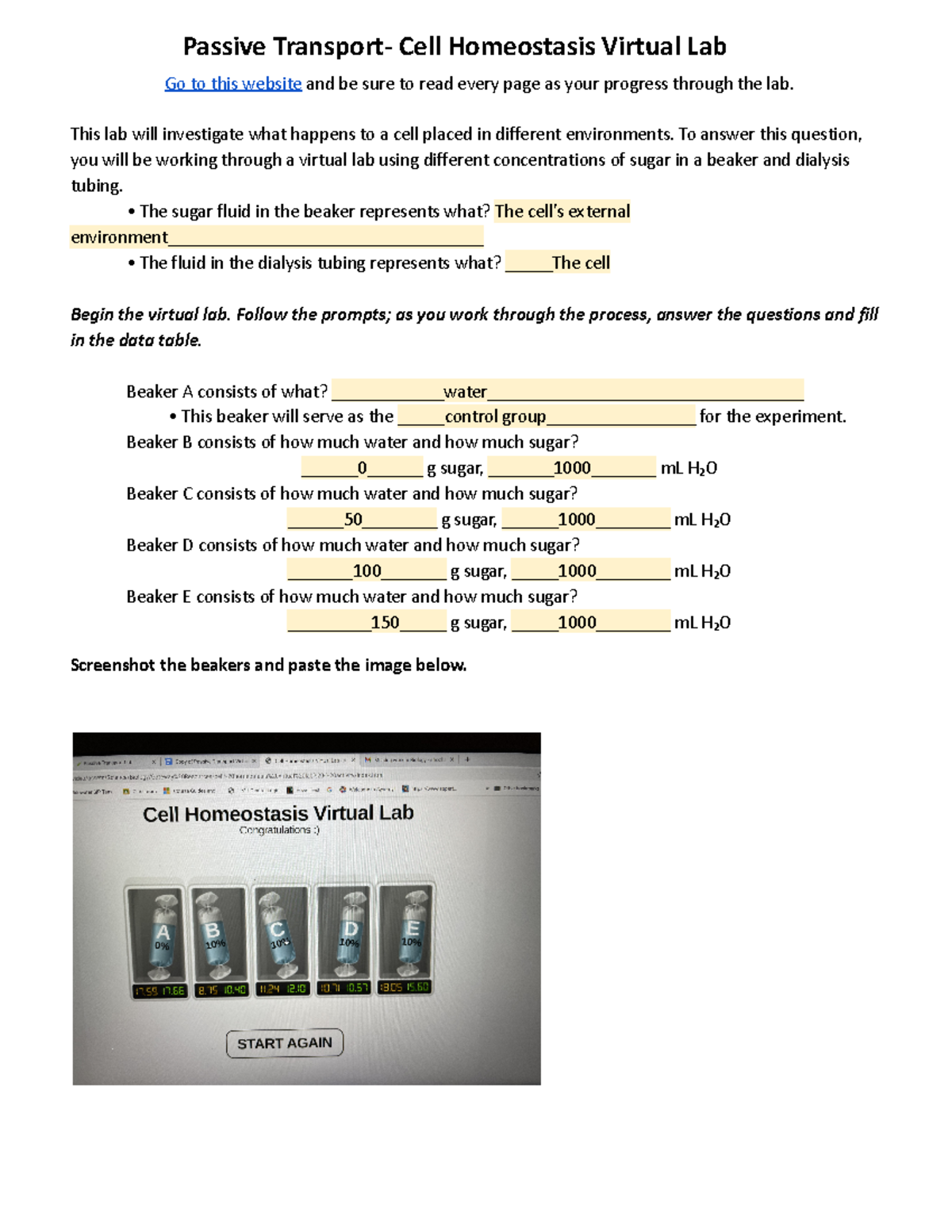 cell homeostasis virtual lab worksheet