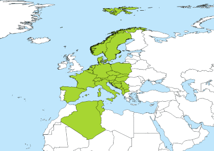 central european time to est