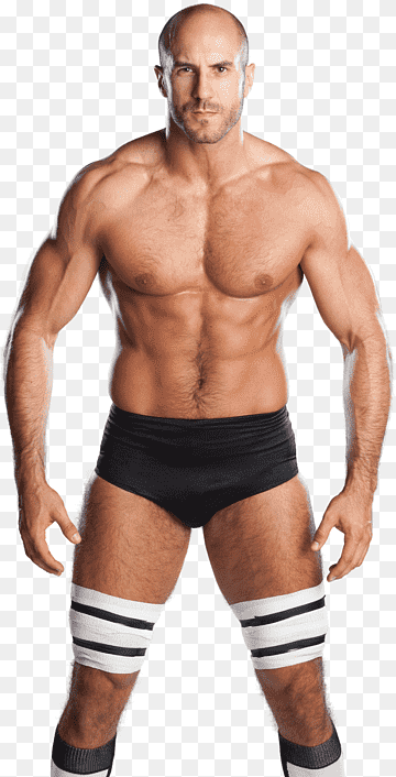 cesaro png