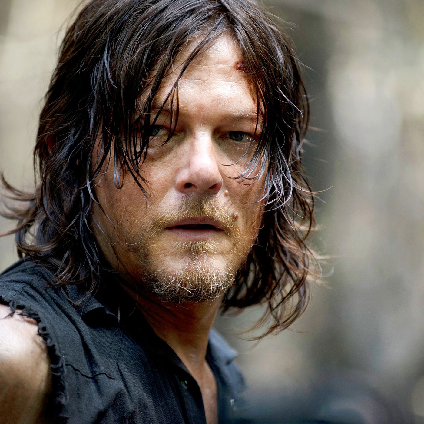 walking dead characters daryl