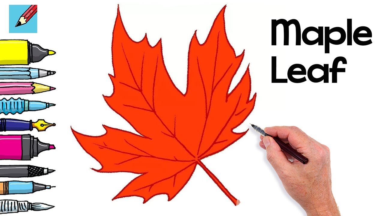 draw a maple leaf