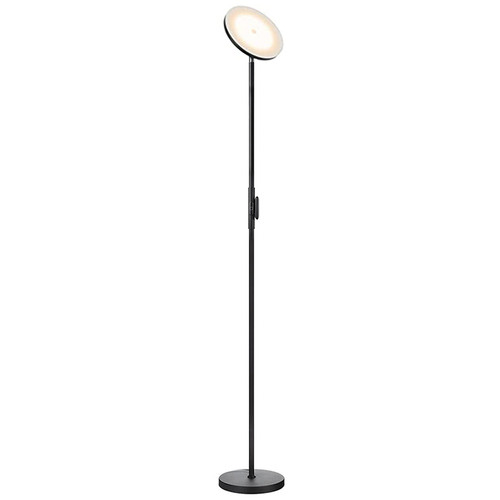 floor lamp with remote