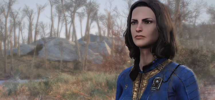 fallout 4 waifu