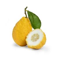 citron meaning in hindi