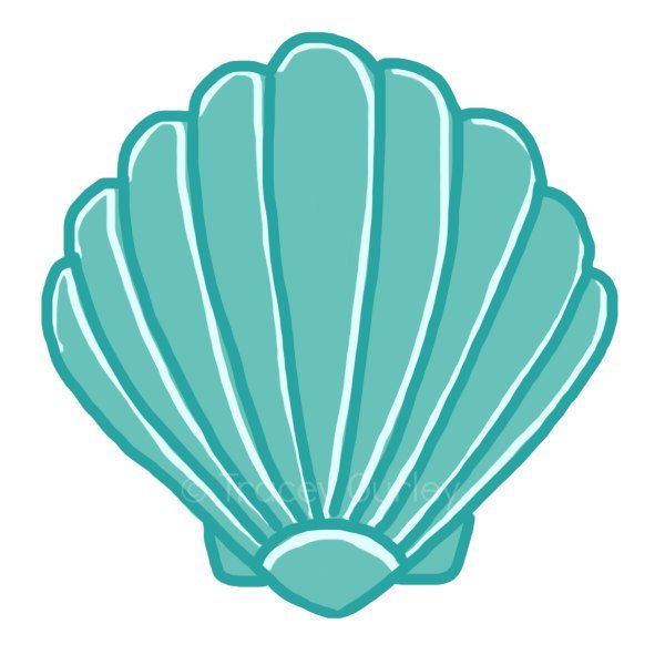 clip art of shells