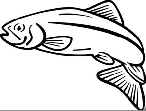 clip art salmon