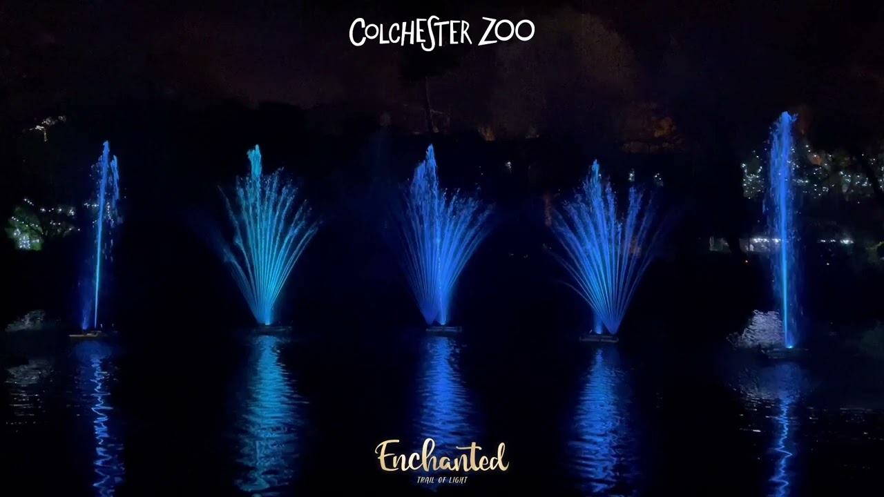 colchester zoo blue light card