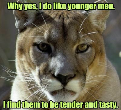 cougar meme