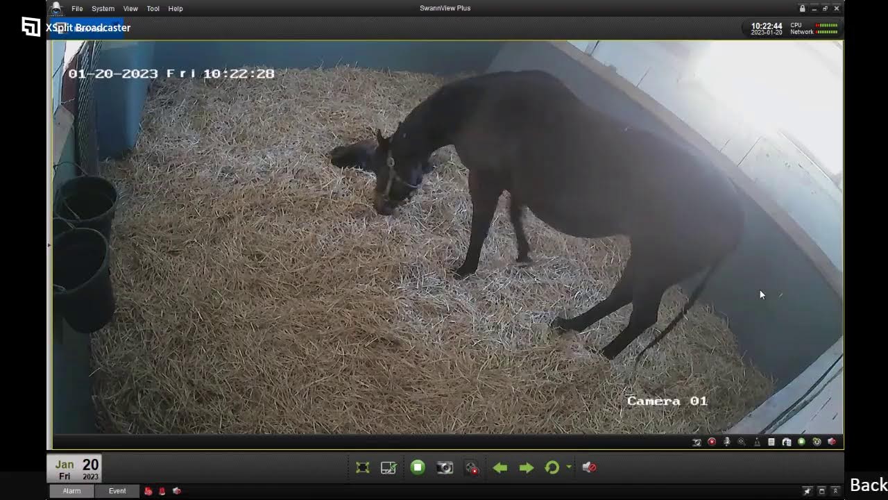 country life foaling cameras