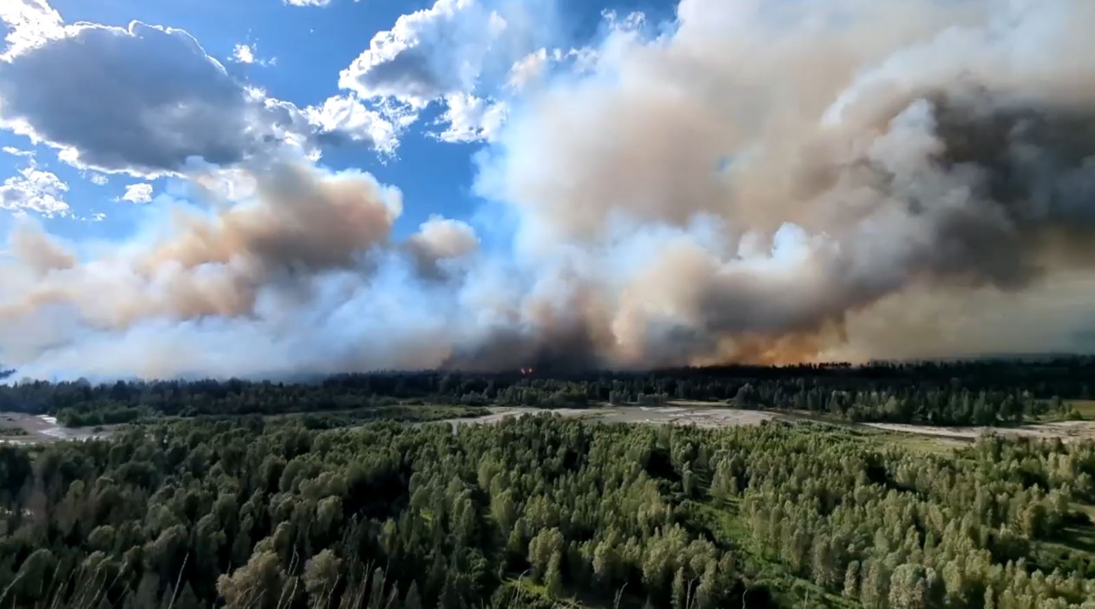 cranbrook forest fires