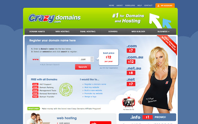 crazy domains