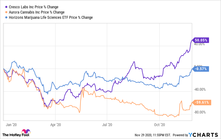 cresco labs stock