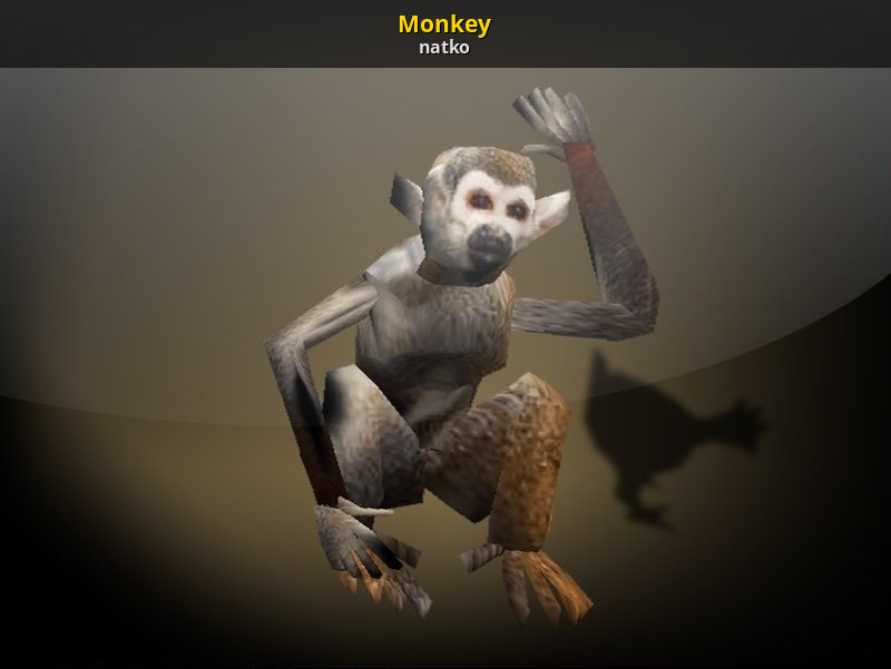 cs monkey