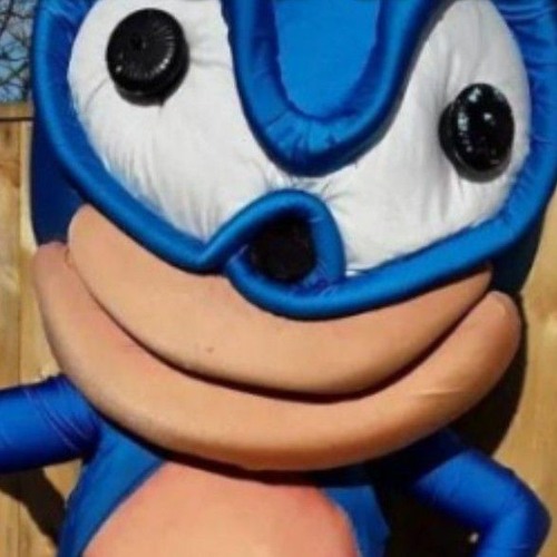 cursed sonic