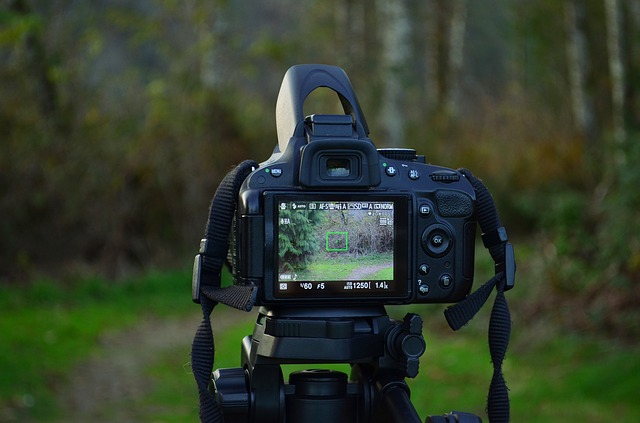 best budget video camera 2016