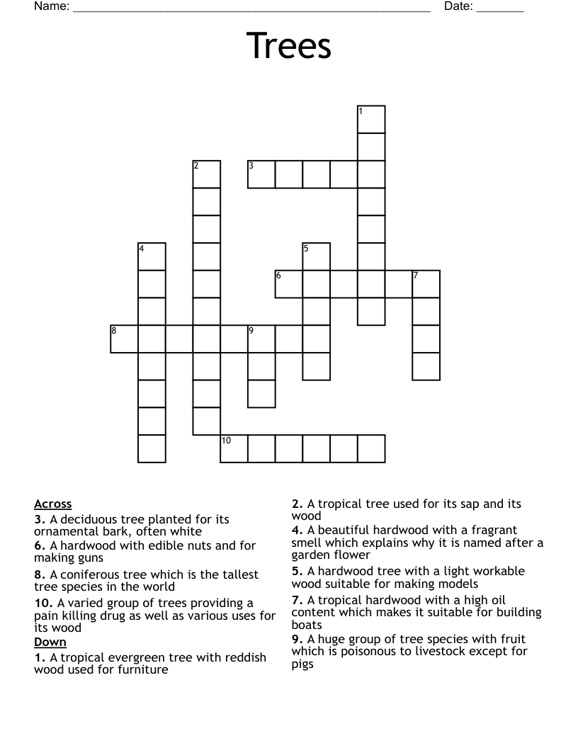 coniferous tree crossword