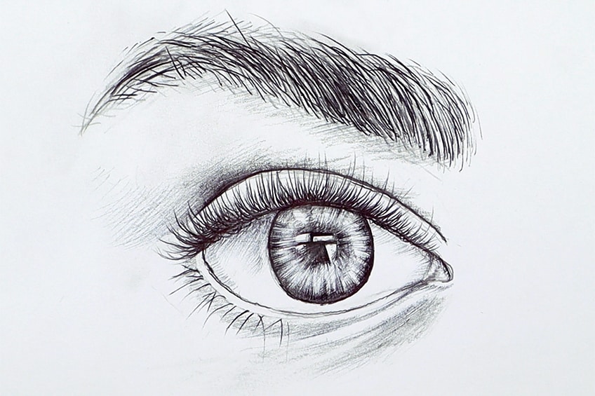 realistic eyebrow drawing