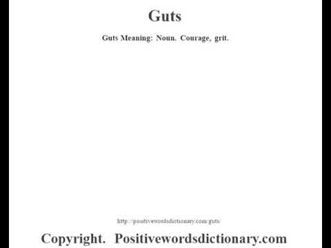 guts definition