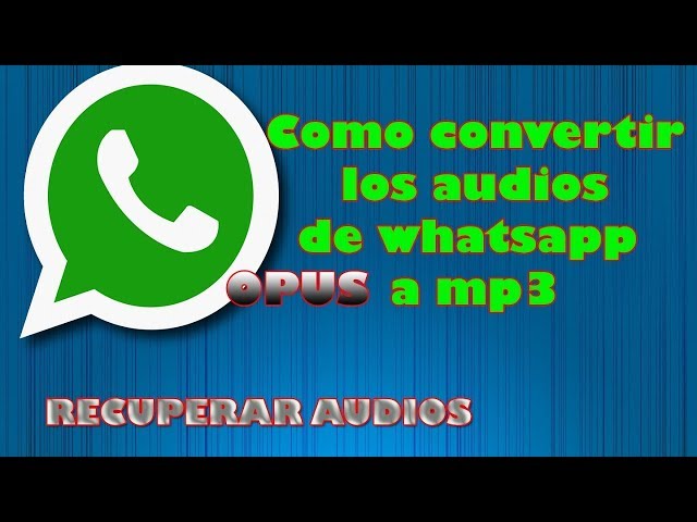 convertir audio opus a mp3