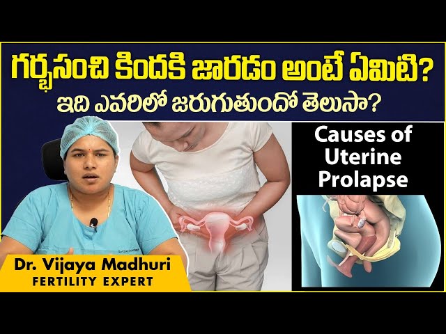 prolapse meaning in telugu