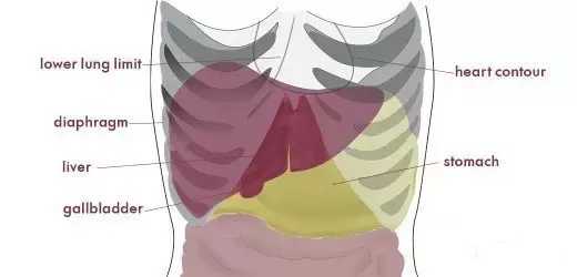 stabbing pain on right side under rib cage