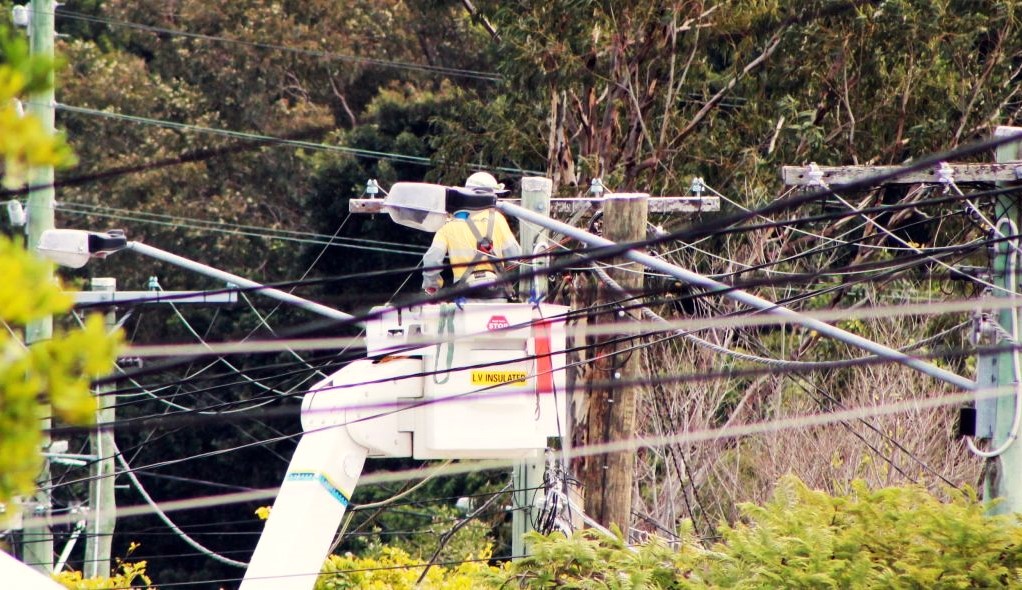 power outage palm cove