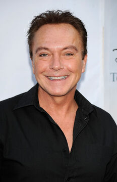 david cassidy wikipedia