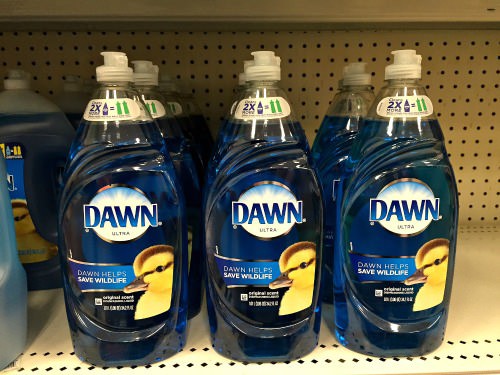 dawn soap for fleas