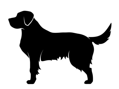 black and white dog clip art