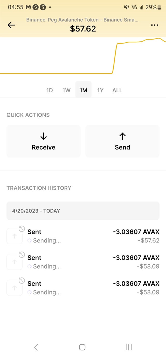 binance avax try