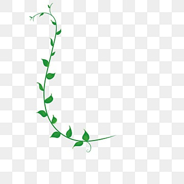 vine clipart